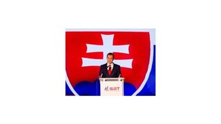 Procházkova Sieť zhodnotí rok svojho fungovania