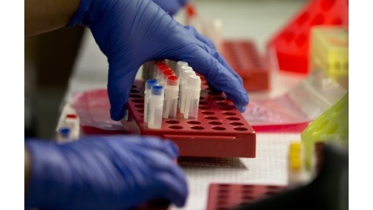 Na Slovensku zomrie každý rok asi 600 diabetikov