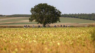 Česko môže prijať až 15.000 utečencov, aktivisti bijú na poplach