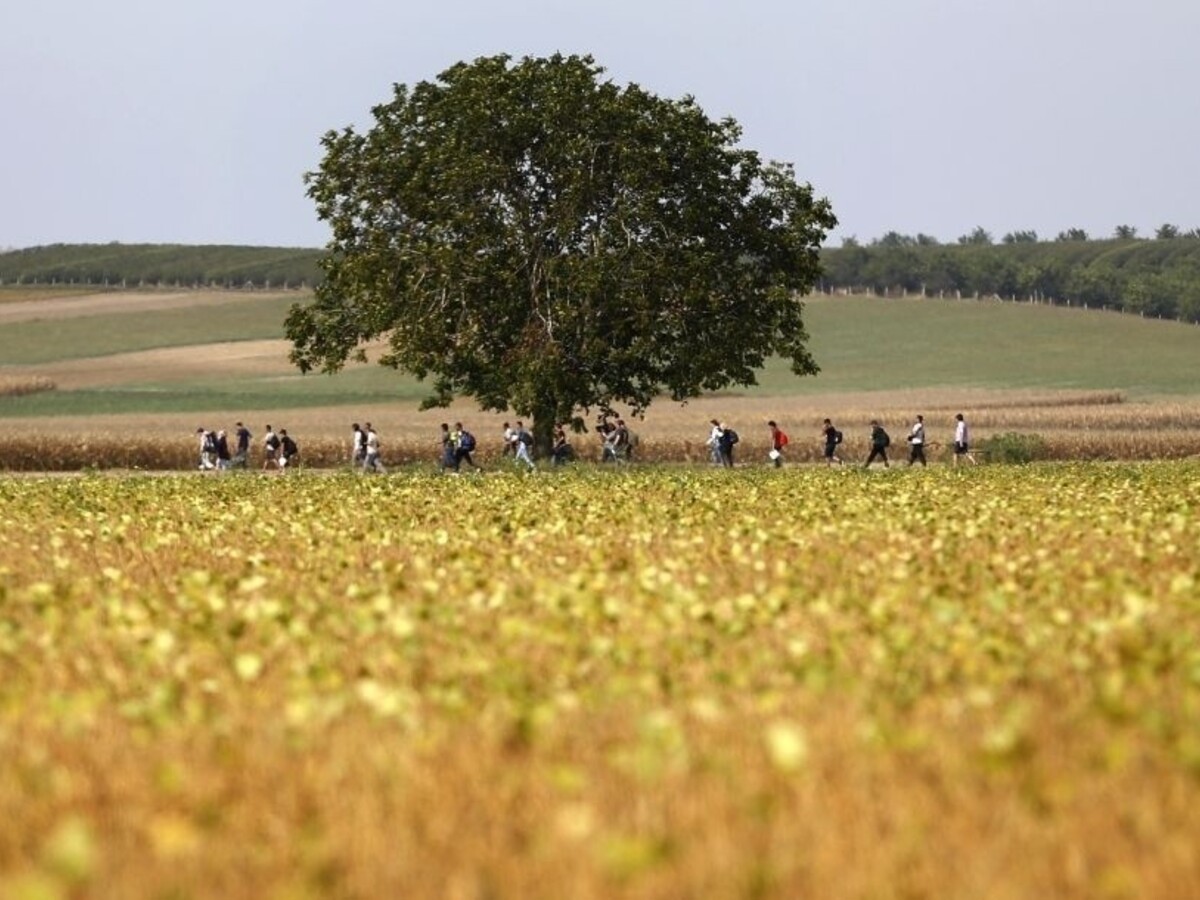 Česko môže prijať až 15.000 utečencov, aktivisti bijú na poplach