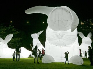 Do Bratislavy príde najnavštevovanejší festival súčasného umenia