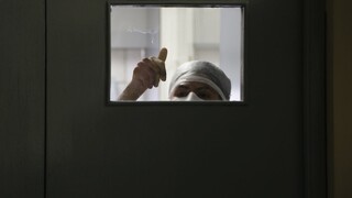 Vedci otestovali obličku, ktorú vypestovali v laboratóriu