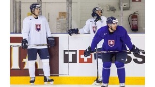 Hokejista Haščák odriekol účasť v KHL pre zdĺhavé lety
