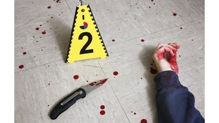 Psychicky chorý muž napadol deti, päť útok neprežilo