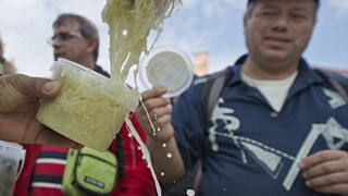 Stupava je počas víkendu európskym centrom kapusty