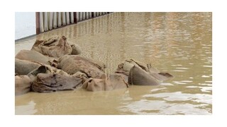 Rozsiahle záplavy v USA zničili domy a cesty, stovky ľudí museli zachraňovať
