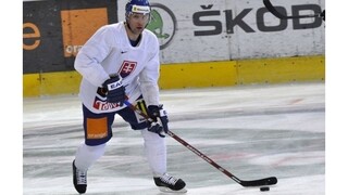 Majstri sveta z Göteborgu Štrbák a Somík sa lúčia s profesionálnou kariérou