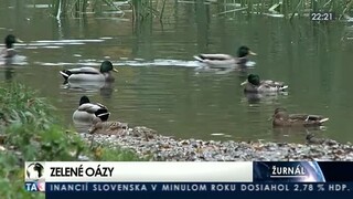 Na Slovensku pribúdajú zelené oázy, v Martine premenili stavenisko na rezerváciu