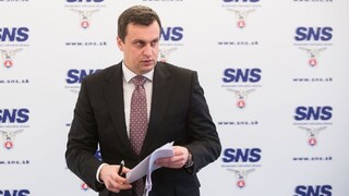 Danko vystúpil proti zámeru predaja podielu v Slovenských elektrárňach