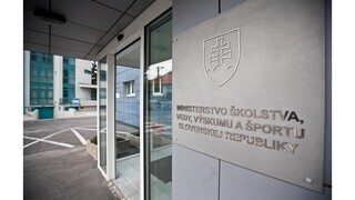 Ministerstvo školstva chce zriadiť nové stredné športové školy
