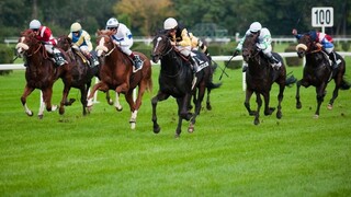 Dostihovú sezónu ukončili preteky v bratislavskom Starom háji