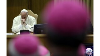 Rozvedení rozdelili biskupov vatikánskej synody na dva tábory