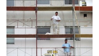 Zatepľovanie budov ohrozuje vtáctvo, pomôcť sa snažia ochranári