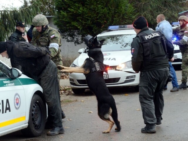 Vojaci a policajti nacvičovali ochranu hraníc, Kaliňák nevylúčil bariéry