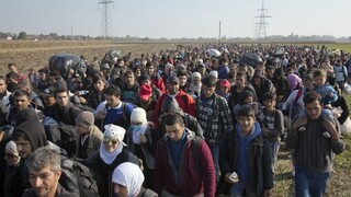 Chorvátsko uzavrelo hraničný priechod na hranici so Srbskom