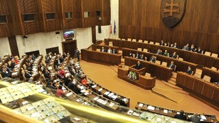 Kandidáti na detských ombudsmanov spochybňujú voľbu, víťazka je vraj jasná