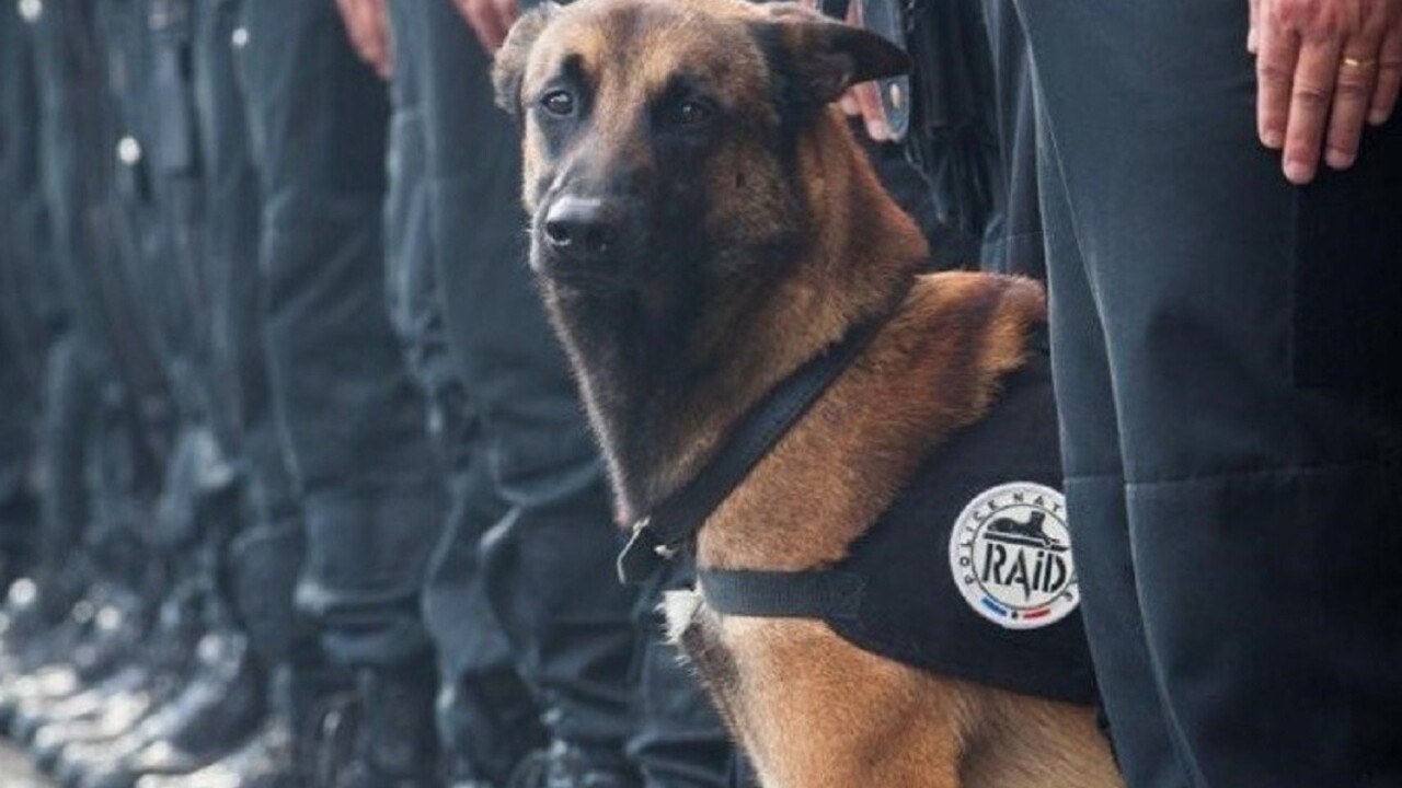 Francúzi majú novú hrdinku, zásah v Saint-Denis bol jej posledný