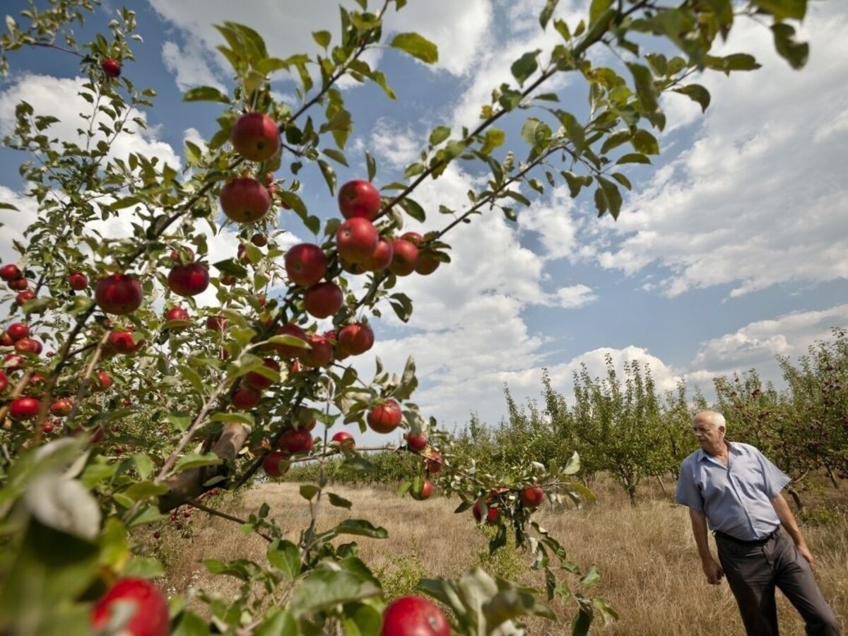 Farmár našiel počas boja s krtmi staroveký poklad