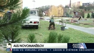 V Prešove rastie aleja, stromy sadia mladomanželia
