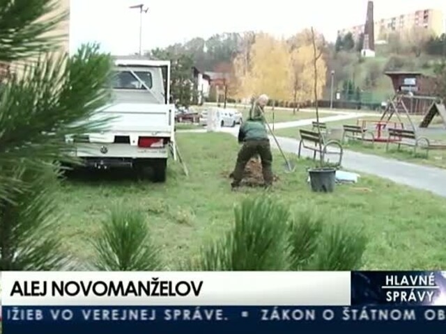 V Prešove rastie aleja, stromy sadia mladomanželia