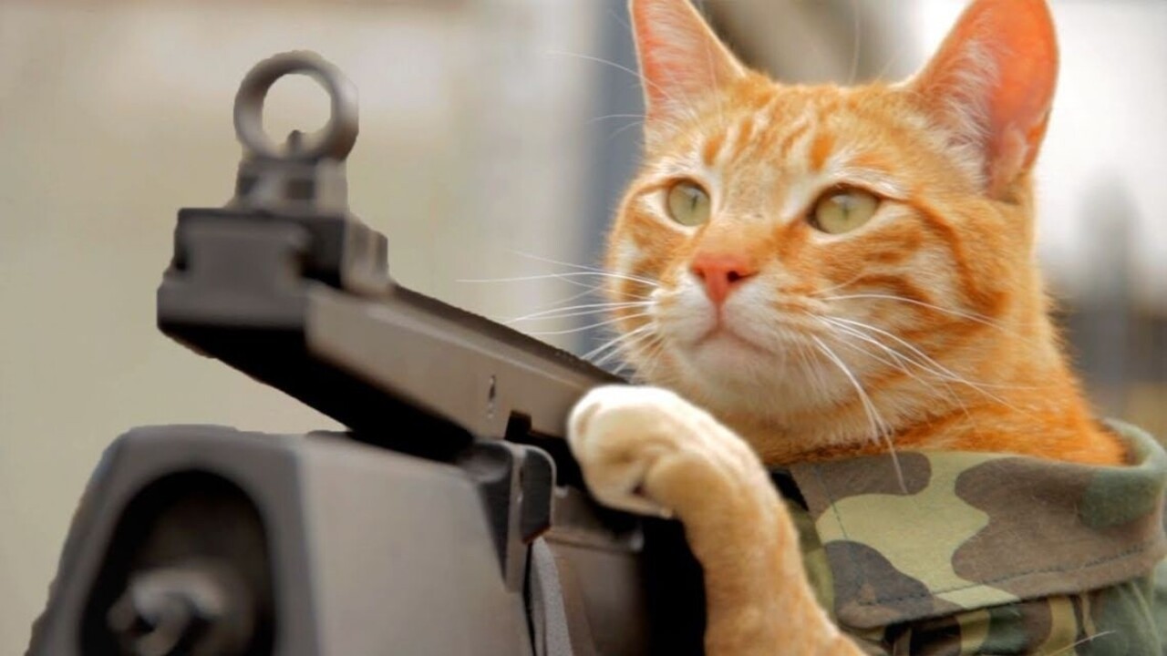 Mačky proti teroristom. Web nimi reagoval na policajné embargo