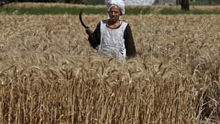 Chudobné štáty potrebujú bilión dolárov, aby sa vyrovnali so zmenou klímy