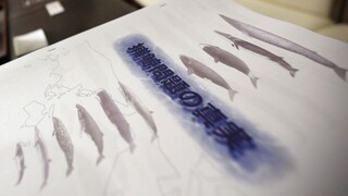 Japonsko opäť vyráža na lov veľrýb aj napriek zákazu medzinárodného súdu