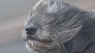 Meteorológovia varujú pred silným vetrom