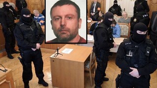 Veľký bos sýkorovcov Kýbel nesúhlasí s vydaním na Slovensko