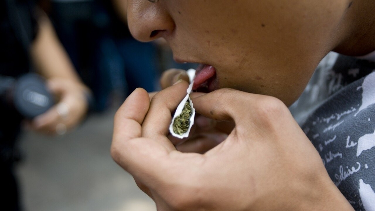 Kampaň proti marihuane sa zvrhla. Tínedžeri milujú ťarbavého leňocha