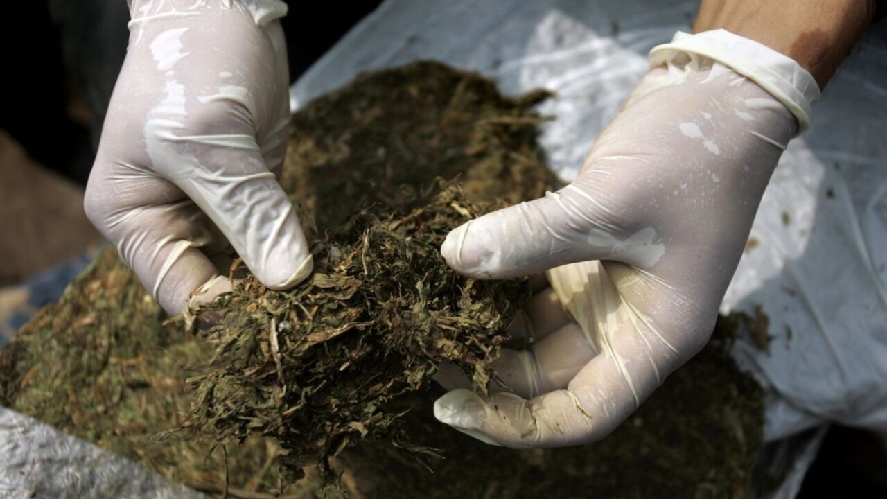 Chceli oklamať policajtov. Marihuanu zabalili ako vianočné darčeky