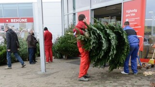 Väčšina vianočných stromčekov pochádza z Dánska, svetlá zas z Číny