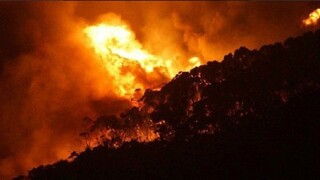 Požiare v Austrálii zničili stovky domov, zasiahli aj obľúbenú turistickú oblasť