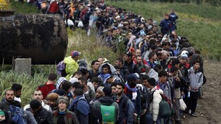 Seehofer: Nemecko by malo prijať do 200.000 utečencov ročne