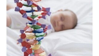 Nórske úrady odobrali rodičom ďalšie české dieťa, čaká na transplantáciu