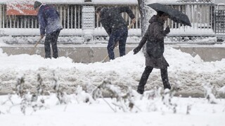 Východnú Európu zasiahli snežné búrky. Zatvárajú cesty, rušia lety a vlaky