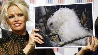 Pamela Andersonová vyvolala rozruch vo francúzskom parlamente
