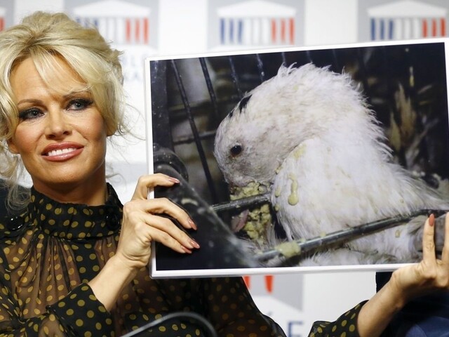 Pamela Andersonová vyvolala rozruch vo francúzskom parlamente