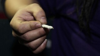 My sme tí dvaja hlupáci. Pašeráci marihuany sa omylom udali polícii