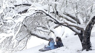 Západ Slovenska prikryje biela perina, meteorológovia vydali výstrahy
