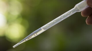 Vírus Zika sa objavil v 19. krajine v západnej hemisfére