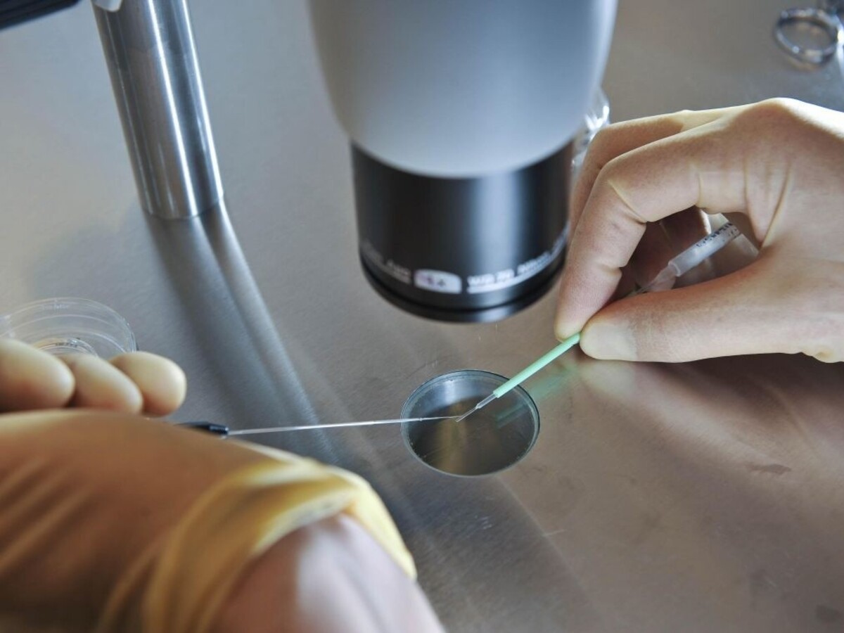 Krok ku geneticky upraveným deťom? Británia povolila kontroverzný výskum
