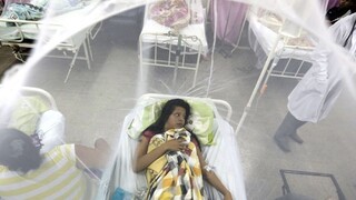 Krajiny postihnuté vírusom zika by mali tehotným umožniť potrat, žiada OSN