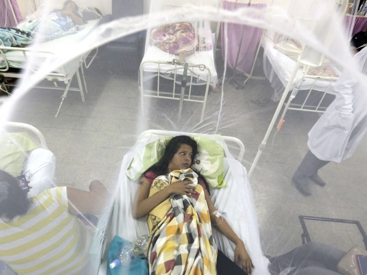 Krajiny postihnuté vírusom zika by mali tehotným umožniť potrat, žiada OSN