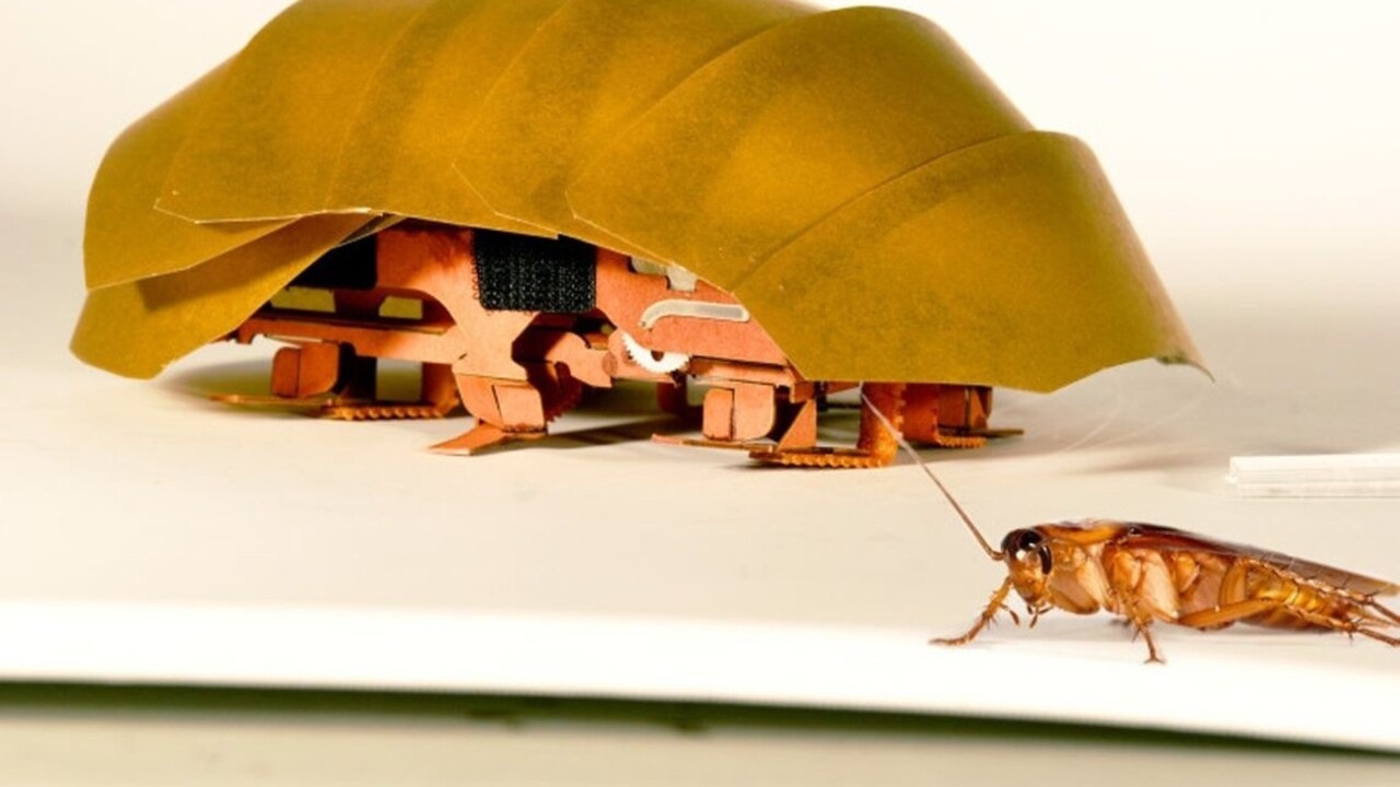 Robotický šváb budúcnosti môže zachraňovať životy, dostane sa všade