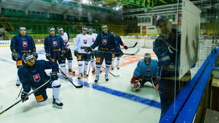 Zraz reprezentácie v Žiline bol bez poltucta hráčov Slovana