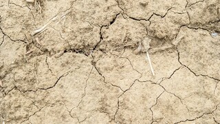 Afrika bojuje s extrémnym suchom, môže zaň El Niño