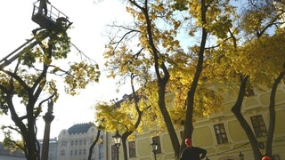 Historické centrum Bratislavy prejde zmenami, pribudne viac zelene