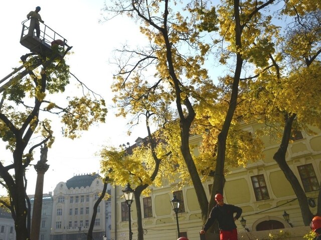 Historické centrum Bratislavy prejde zmenami, pribudne viac zelene