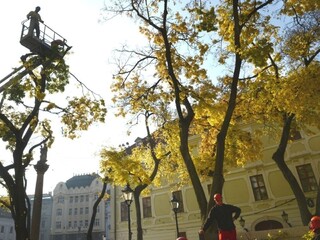 Historické centrum Bratislavy prejde zmenami, pribudne viac zelene